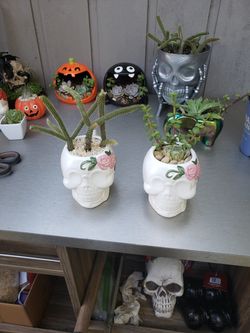 Skull arrangements