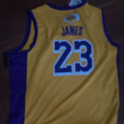 Lebron James Jersey 