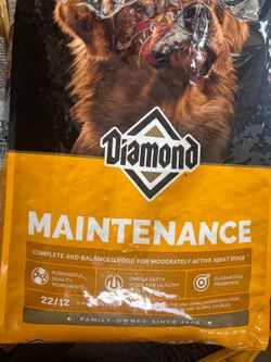 40lbs 3bags of dry dog food
