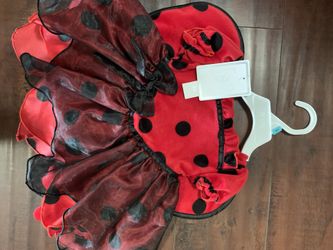 Ladybug Costume 6/9mos