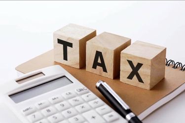 Remote Tax Return Filing Service