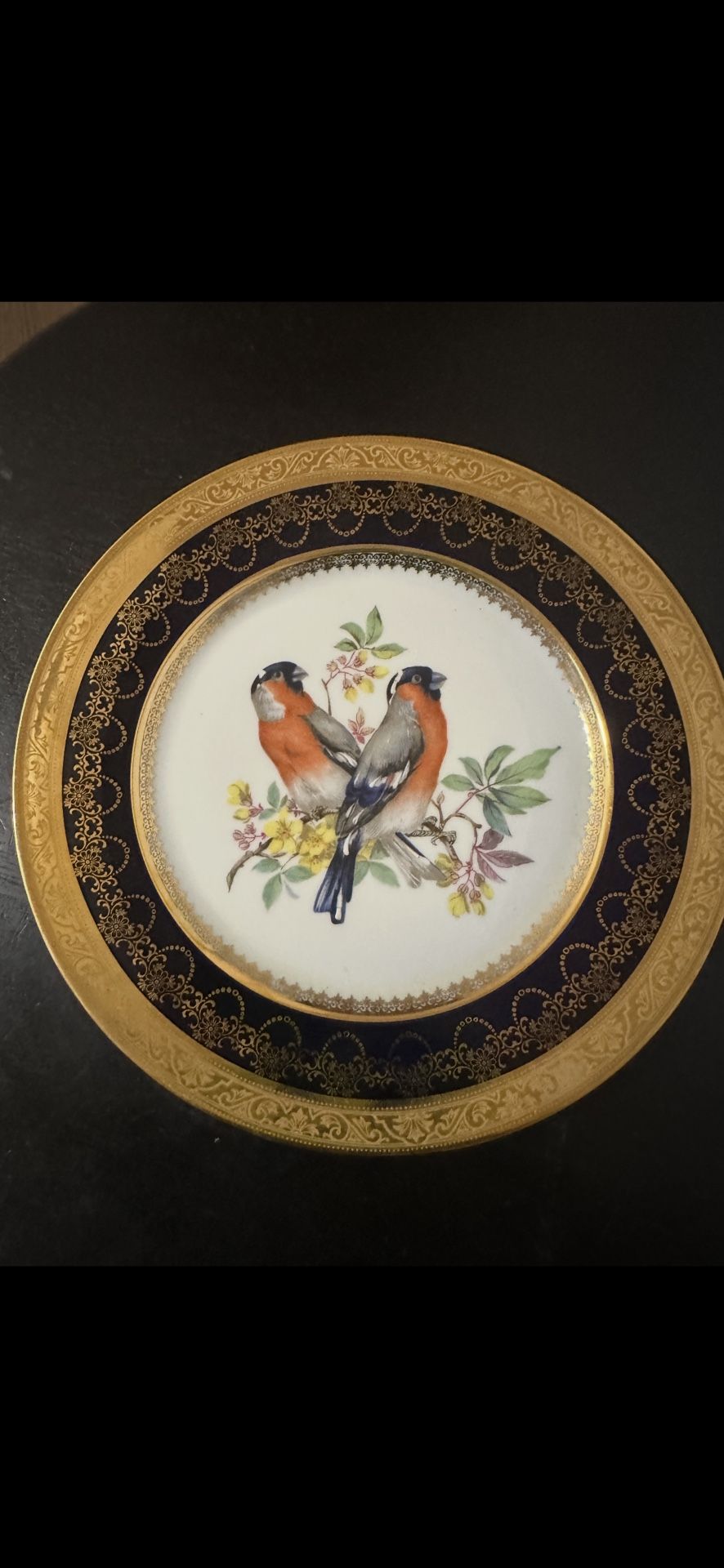 Antique Vintage Bullfinch Bird Plate From Rehausse