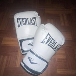Everlast Boxing Gloves 