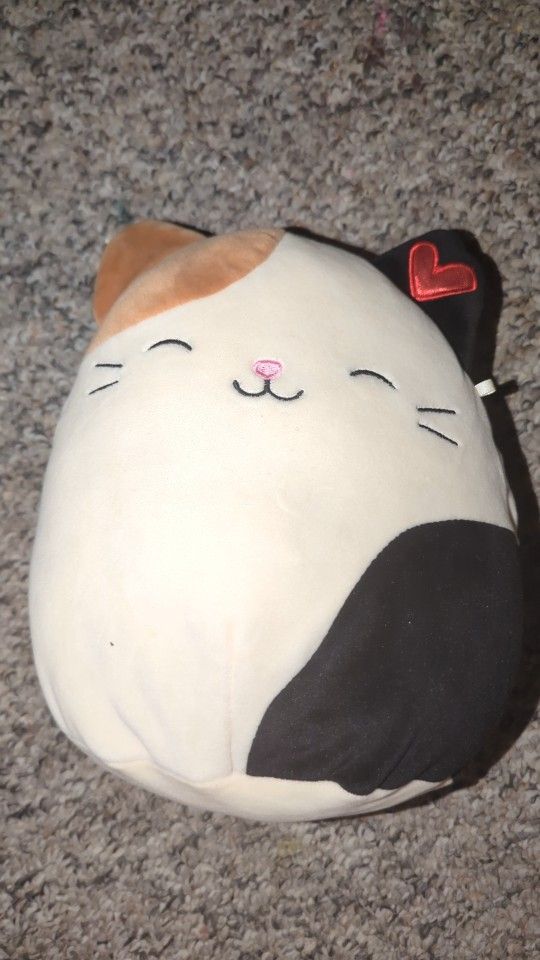 Cam The Cat Squishmallow