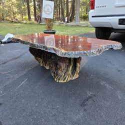 Redwood Burl Coffee Table