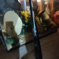 Glass Tank (Not Sealed)