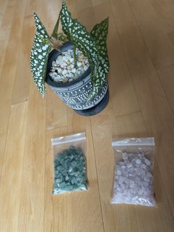 Plant toppers (plant is not Included)