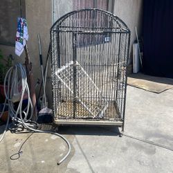 Bird Cage