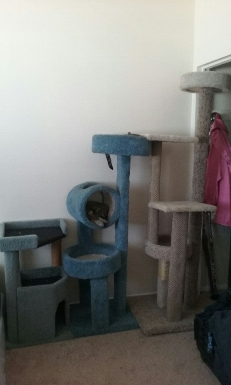 New and used cat houses. Cat condos. Cat towers. Cat beds.