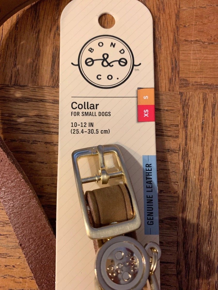 Dog Collar Size Small/XS 10-12" Genuine Leather-Brand New