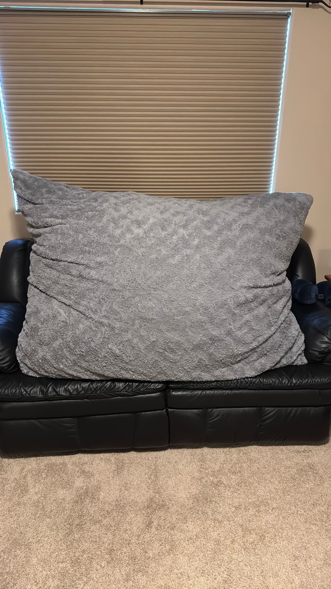 Brand New Lazy boy Sack 