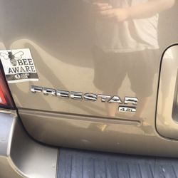 Ford Free Star 