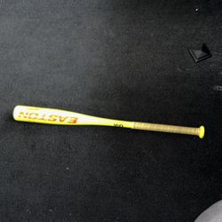 Easton Drop 10 Baseball Bat