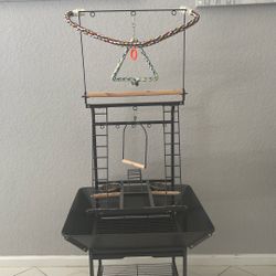 Bird Play Set 