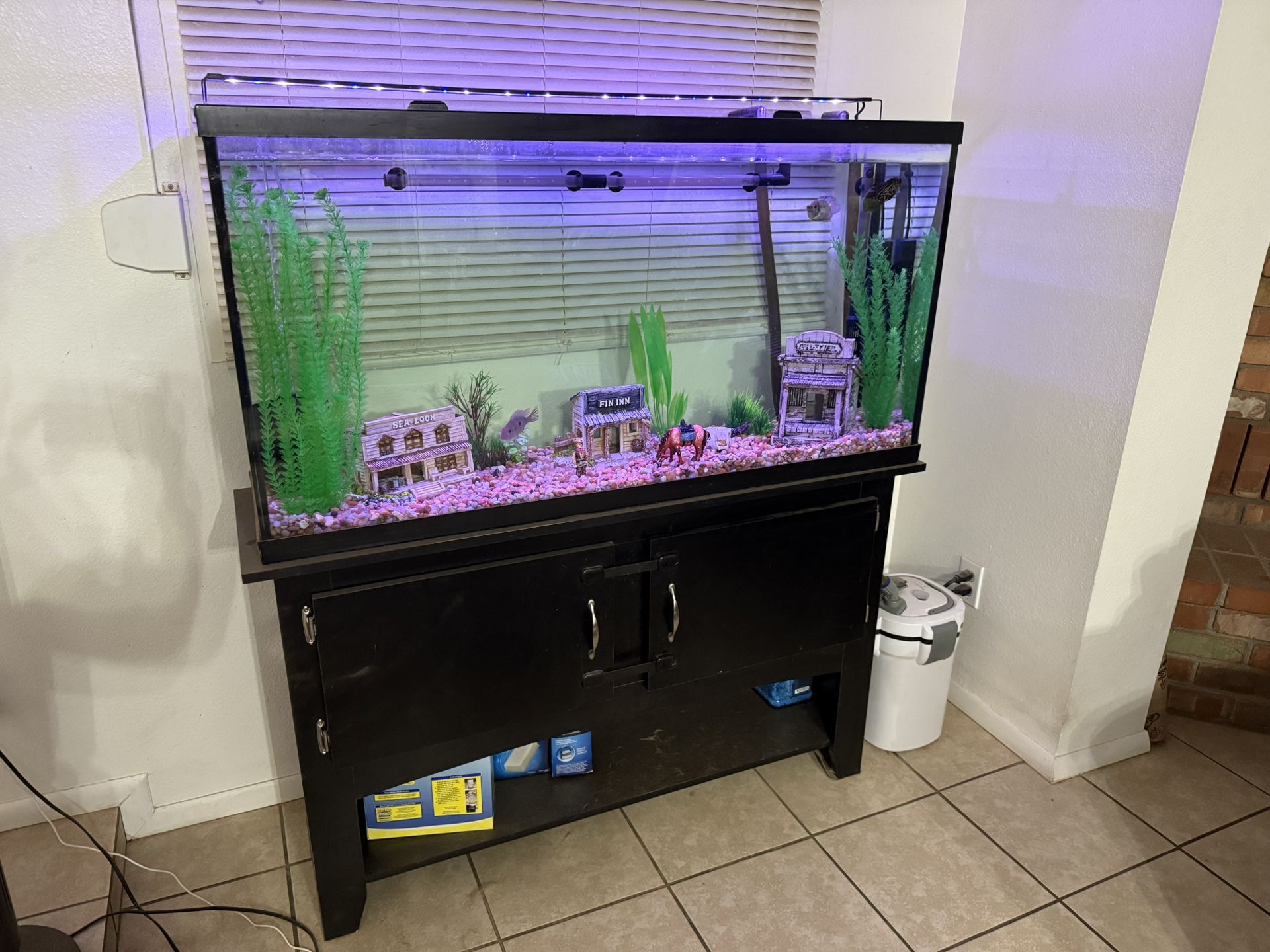 60 Gallon Aquarium With Everything