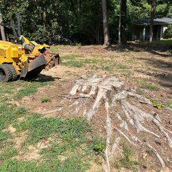 Stump Grinding 
