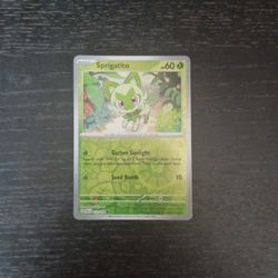 Pokemon Card