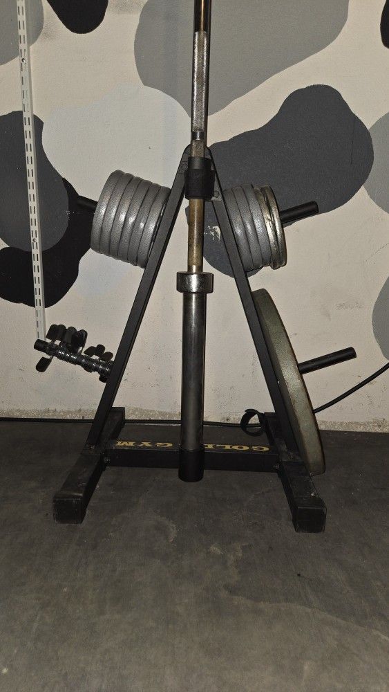 Gold's Gym Weight Storage