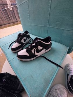 Nike dunk kids