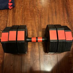 11 Kg Dumbbell 
