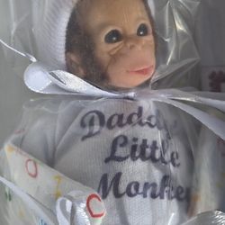 Ashton Drake Mini Baby Collection Daddys Little Monkey.  MONKEY Face. Silly Me And Fresh From The Bathall New M9nkey Face UnOpened 