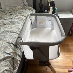 Baby Delight Bedside Sleeper 