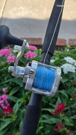 Avet reel/Braid lines/ Star Jigging Rod