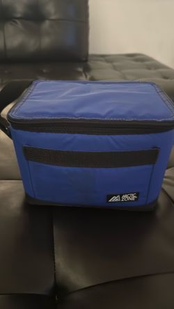 Small cooler with strap