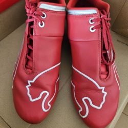 Red  Ferrari  Puma