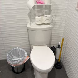 Toilet For Sale 