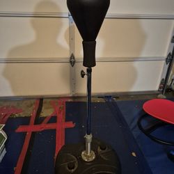 Standing Reflex Punching Bag
