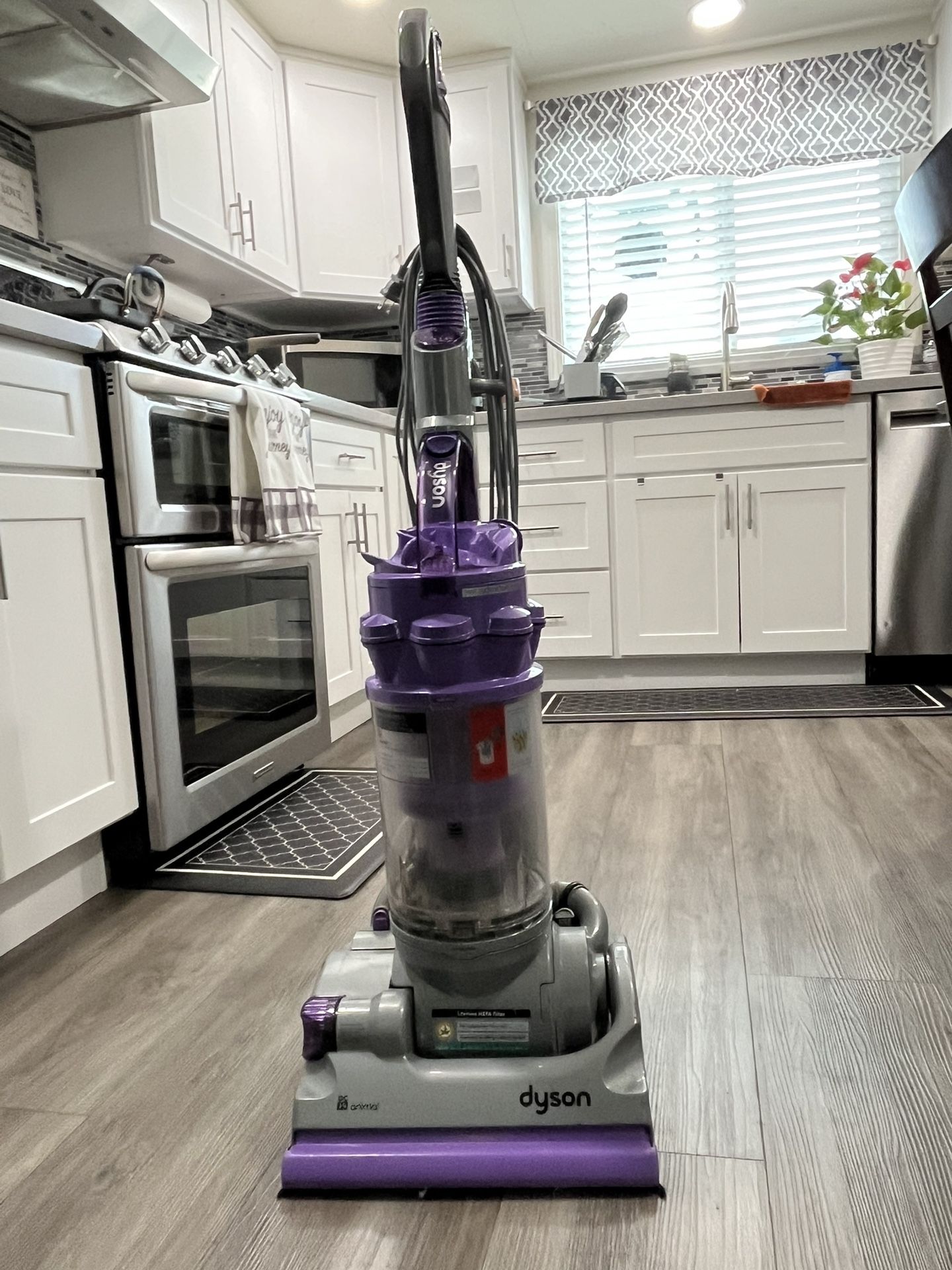 Dyson Vacuum 