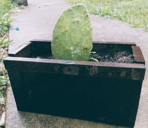 Steel Planter