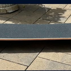 Santa Cruz Long Board 