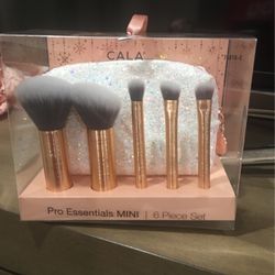 5 Makeup Brushes And A Cosmetic Bag 