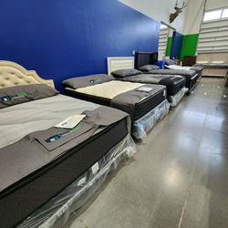 Bed Liquidation Clearance Event!