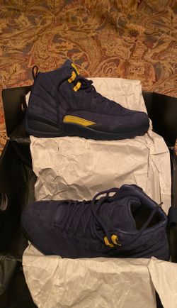 Jordan michigan NRG Jordan 12s
