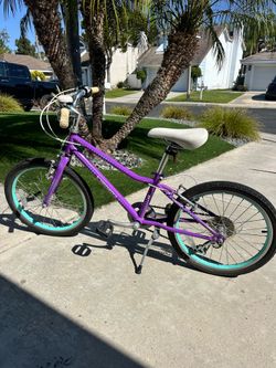 Guardian Bike 20 inch