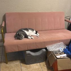 Pink Couch
