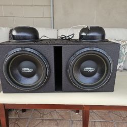 Audio Legion 12 Inch Sub And Box 