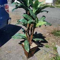 Artificial Plant In Good Condition The Pot Have The Very Little Damage At The Bottom But It's Not Noticeable