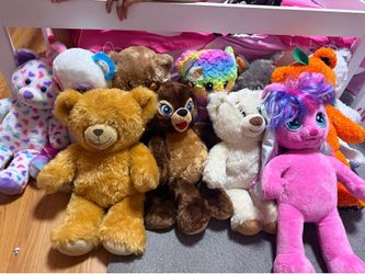 Build a Bears