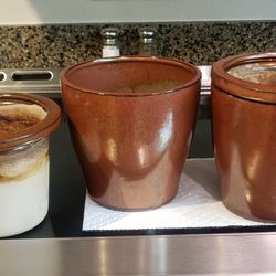 Self Watering Planters