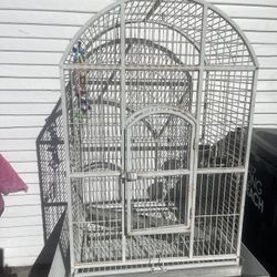 Birds Cage