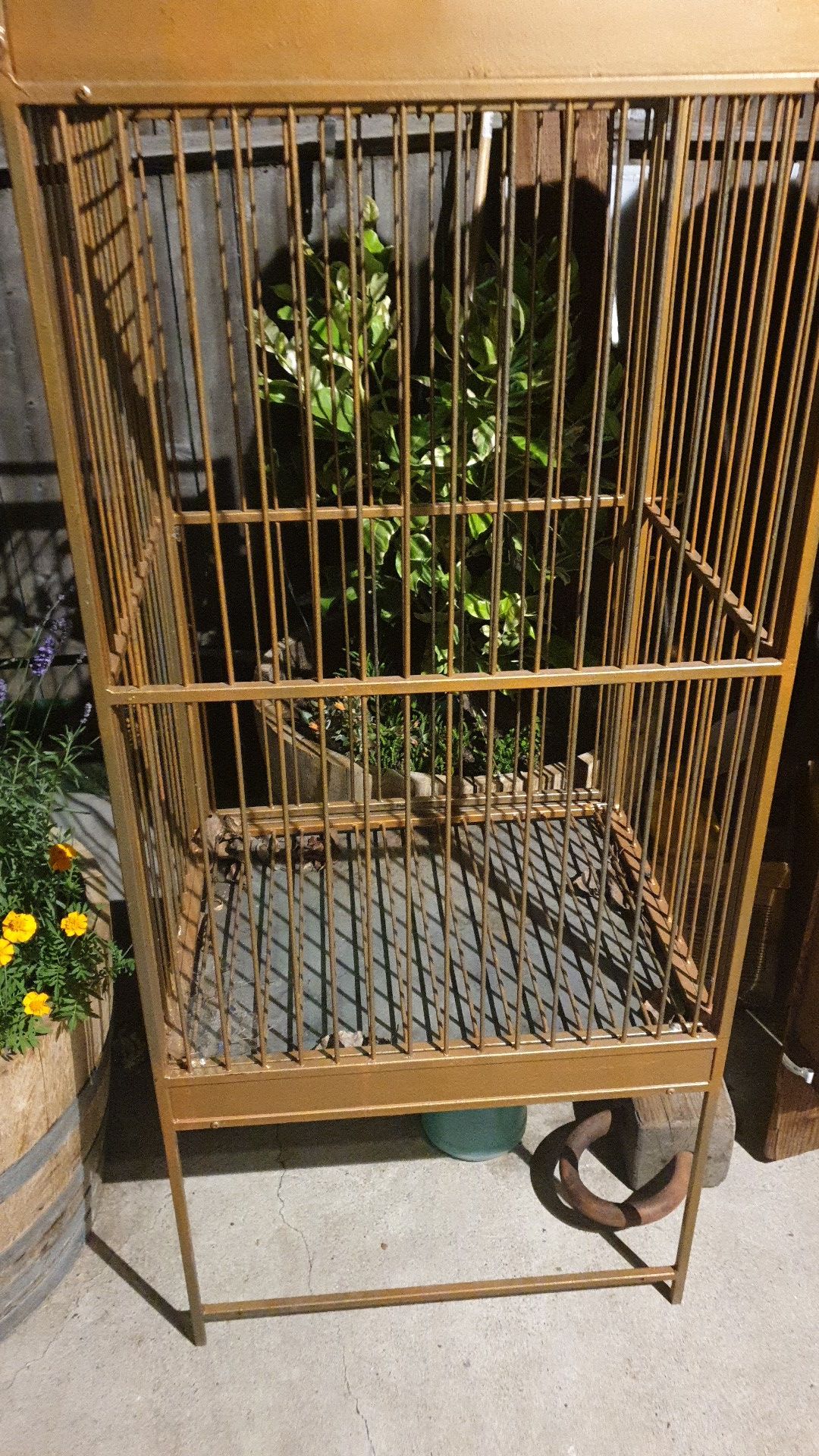 Large bird cage