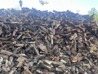 Seasoned Avocado Firewood Ready To Burn 🔥🔥🥑