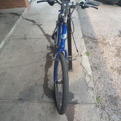 Bʟᴜᴇ Jᴀᴍɪs 23ɪɴ Bike