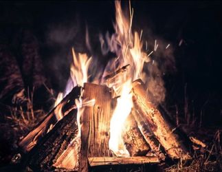 FIREWOOD  - Nice Dry Seasoned Firewood Quarter Cords