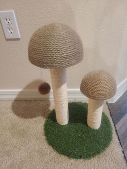 Mushroom cat scratch