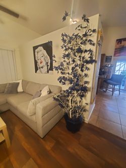 Plants vase